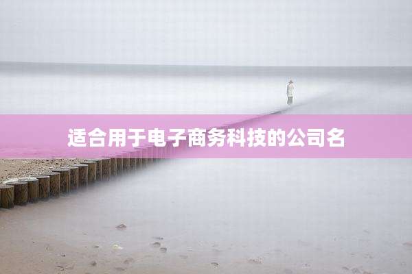 适合用于电子商务科技的公司名