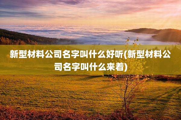 新型材料公司名字叫什么好听(新型材料公司名字叫什么来着)
