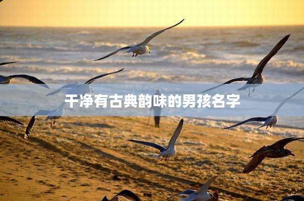 干净有古典韵味的男孩名字