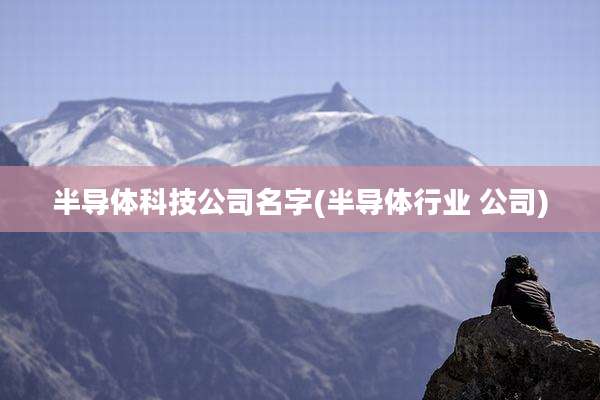 半导体科技公司名字(半导体行业 公司)