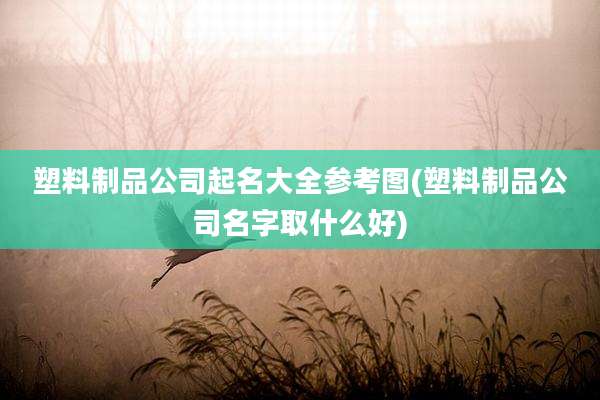塑料制品公司起名大全参考图(塑料制品公司名字取什么好)