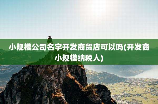 小规模公司名字开发商贸店可以吗(开发商小规模纳税人)