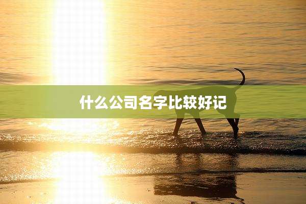 什么公司名字比较好记