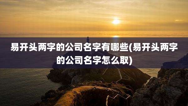 易开头两字的公司名字有哪些(易开头两字的公司名字怎么取)