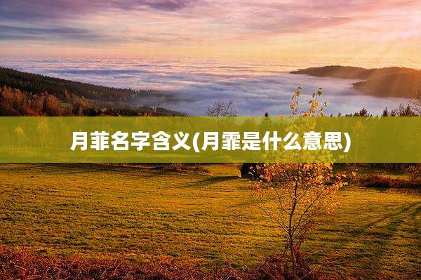 月菲名字含义(月霏是什么意思)