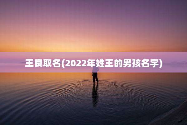 王良取名(2022年姓王的男孩名字)