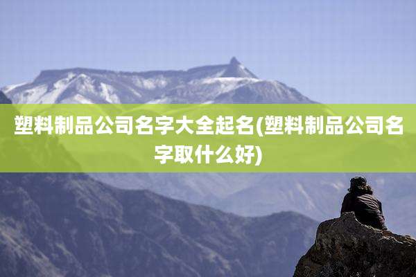 塑料制品公司名字大全起名(塑料制品公司名字取什么好)