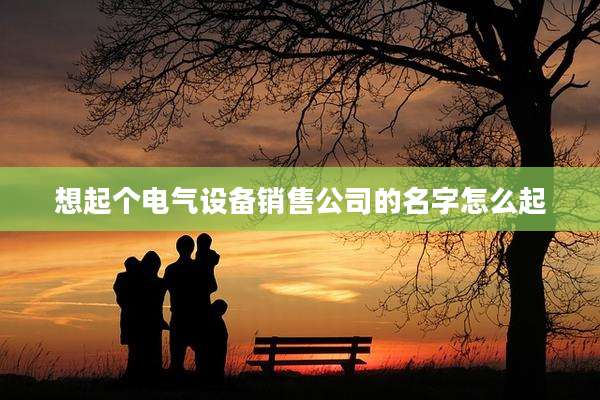 想起个电气设备销售公司的名字怎么起