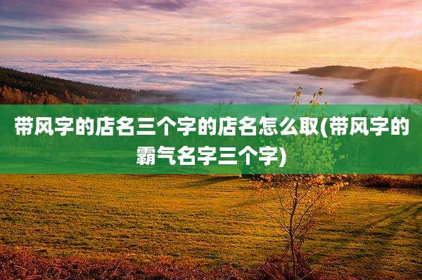 带风字的店名三个字的店名怎么取(带风字的霸气名字三个字)