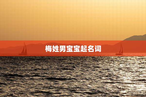 梅姓男宝宝起名词