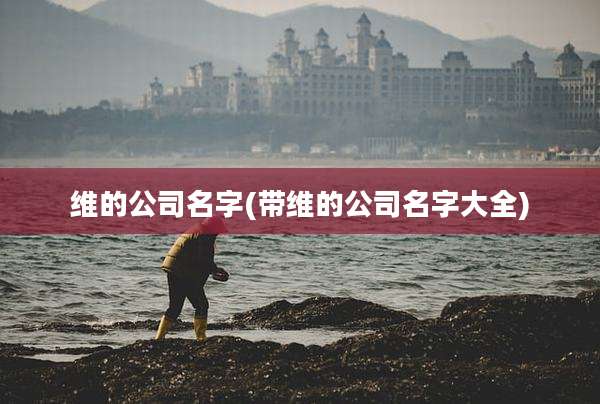 维的公司名字(带维的公司名字大全)