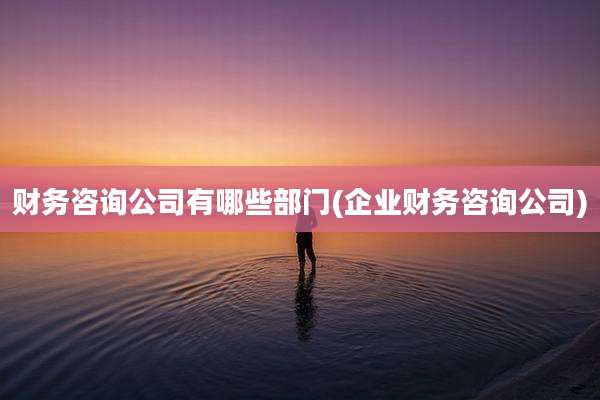 财务咨询公司有哪些部门(企业财务咨询公司)