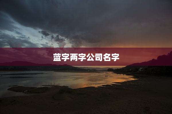 蓝字两字公司名字