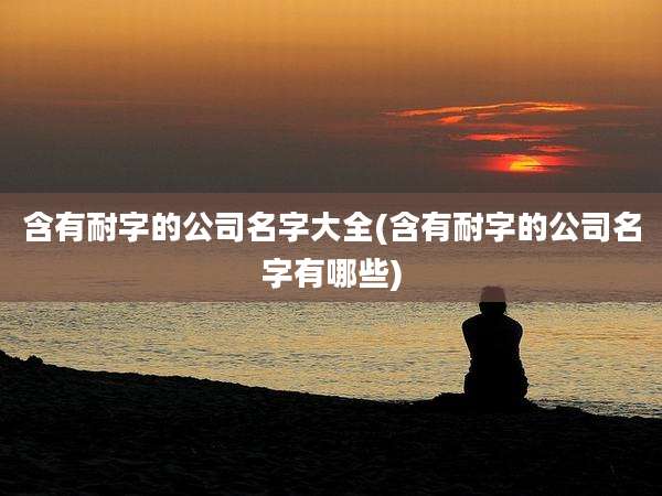 含有耐字的公司名字大全(含有耐字的公司名字有哪些)