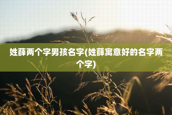 姓薛两个字男孩名字(姓薛寓意好的名字两个字)