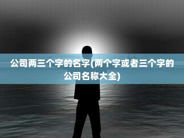 公司两三个字的名字(两个字或者三个字的公司名称大全)