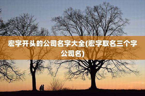 宏字开头的公司名字大全(宏字取名三个字公司名)