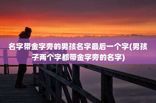名字带金字旁的男孩名字最后一个字(男孩子两个字都带金字旁的名字)