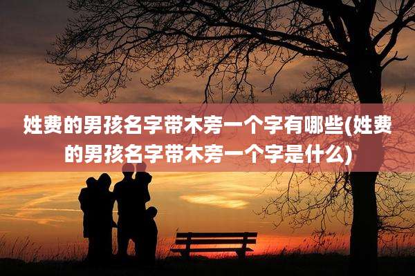姓费的男孩名字带木旁一个字有哪些(姓费的男孩名字带木旁一个字是什么)