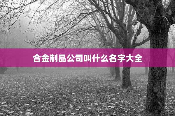 合金制品公司叫什么名字大全