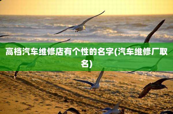 高档汽车维修店有个性的名字(汽车维修厂取名)