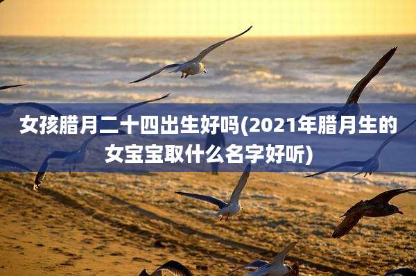 女孩腊月二十四出生好吗(2021年腊月生的女宝宝取什么名字好听)