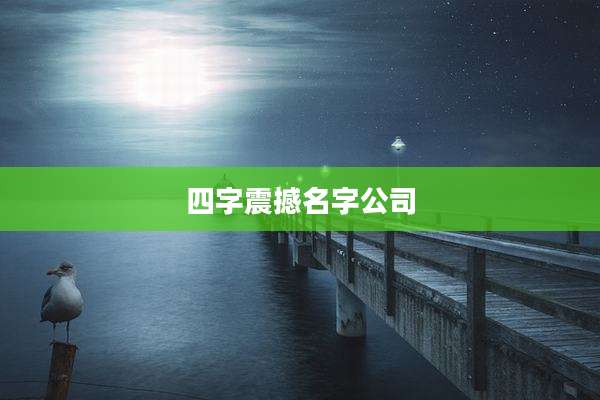 四字震撼名字公司