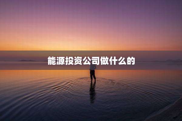 能源投资公司做什么的