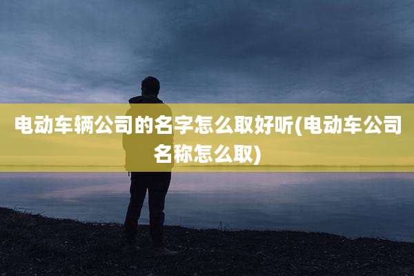 电动车辆公司的名字怎么取好听(电动车公司名称怎么取)