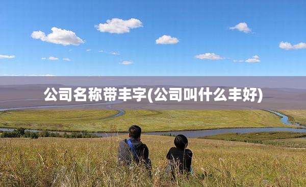 公司名称带丰字(公司叫什么丰好)