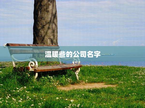 温暖些的公司名字