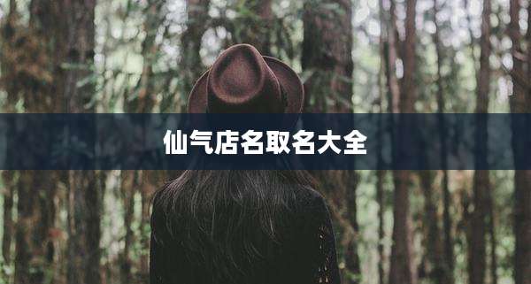 仙气店名取名大全