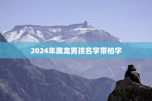 2024年属龙男孩名字带柏字