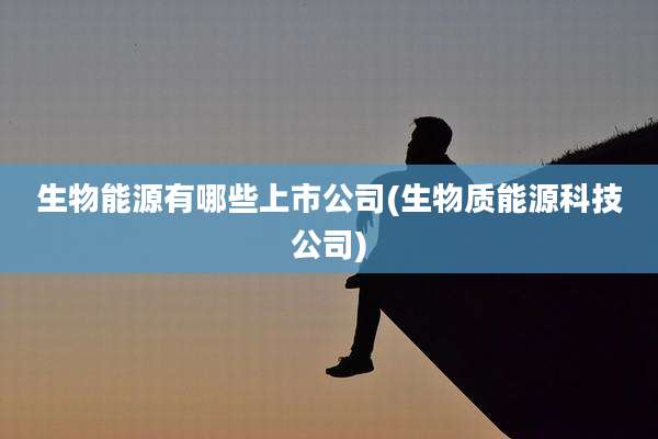 生物能源有哪些上市公司(生物质能源科技公司)
