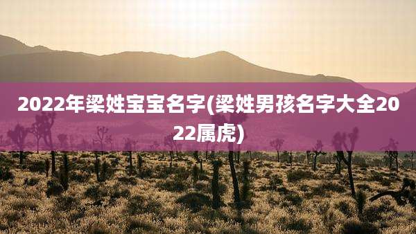 2022年梁姓宝宝名字(梁姓男孩名字大全2022属虎)