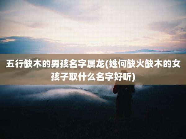 五行缺木的男孩名字属龙(姓何缺火缺木的女孩子取什么名字好听)