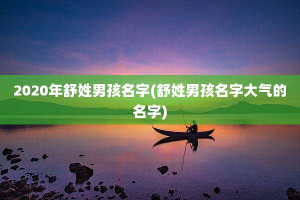 2020年舒姓男孩名字(舒姓男孩名字大气的名字)