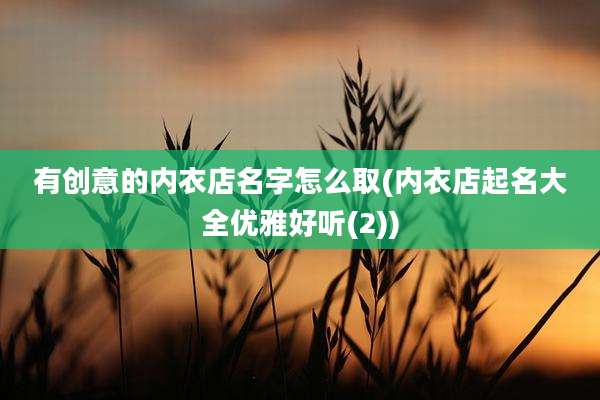 有创意的内衣店名字怎么取(内衣店起名大全优雅好听(2))