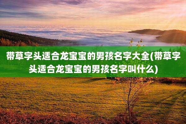 带草字头适合龙宝宝的男孩名字大全(带草字头适合龙宝宝的男孩名字叫什么)