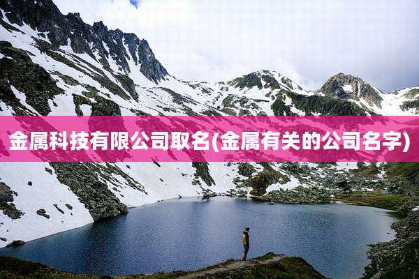 金属科技有限公司取名(金属有关的公司名字)