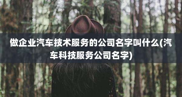 做企业汽车技术服务的公司名字叫什么(汽车科技服务公司名字)