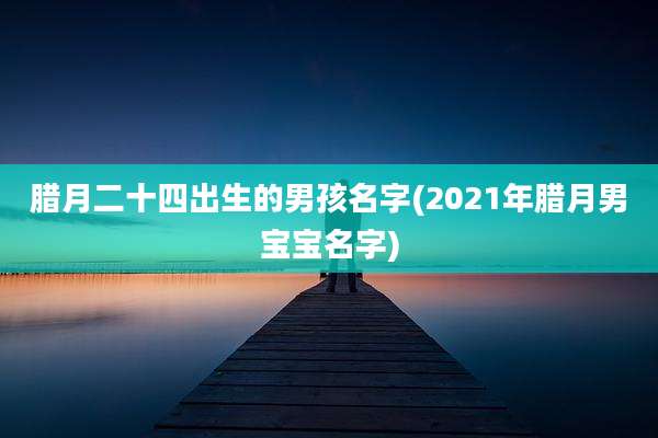 腊月二十四出生的男孩名字(2021年腊月男宝宝名字)