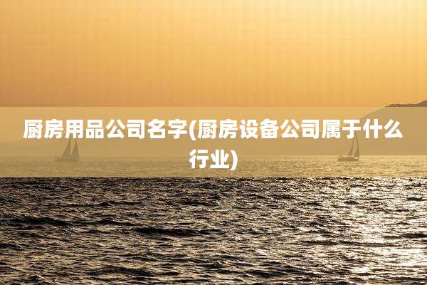 厨房用品公司名字(厨房设备公司属于什么行业)