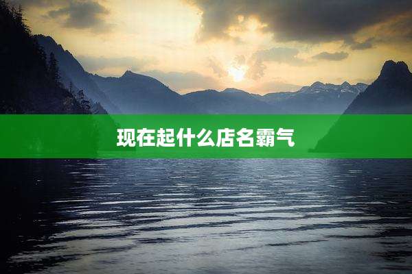 现在起什么店名霸气
