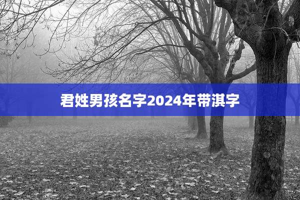 君姓男孩名字2024年带淇字