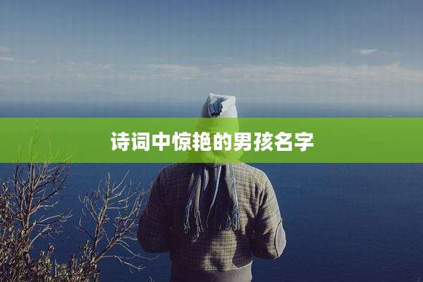 诗词中惊艳的男孩名字