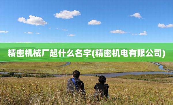 精密机械厂起什么名字(精密机电有限公司)