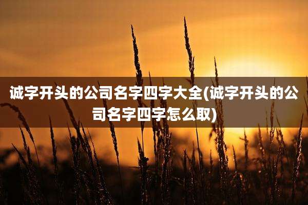诚字开头的公司名字四字大全(诚字开头的公司名字四字怎么取)