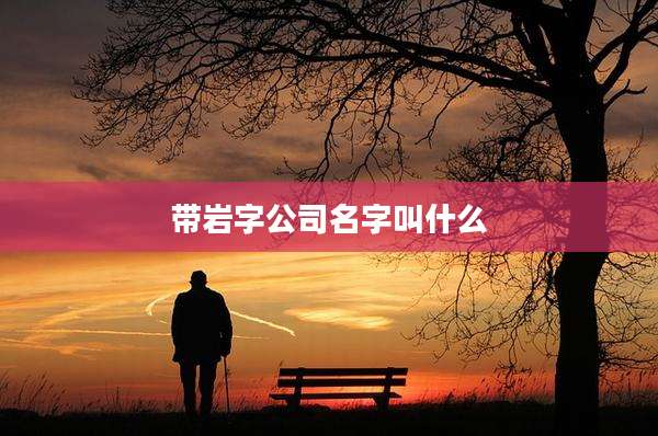 带岩字公司名字叫什么