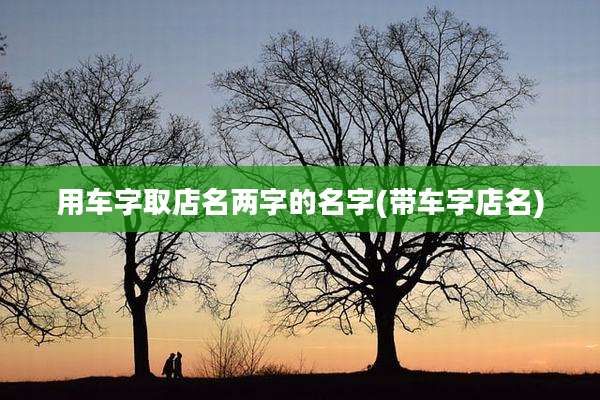 用车字取店名两字的名字(带车字店名)